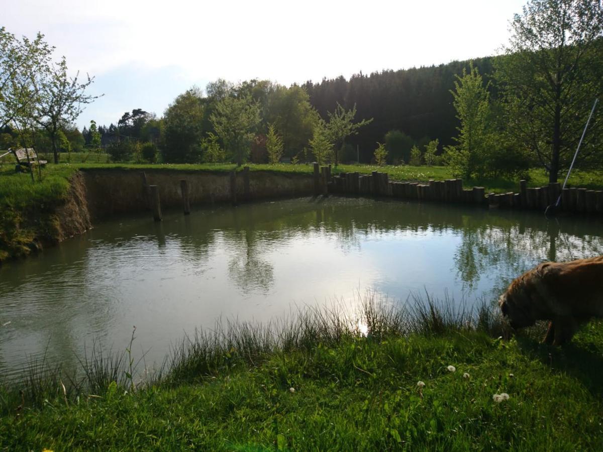 Apartment Hohe Acht Kaltenborn (Rhineland-Palatinate)